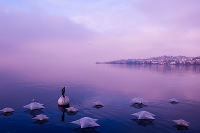 Calm water
